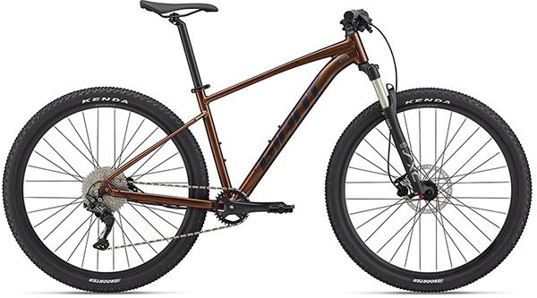 Xe đạp địa hình thể thao Giant Talon 29 1 2022